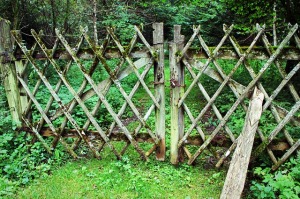 fence-436569_640