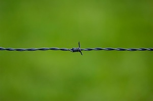barbed-wire-250822_640(2)