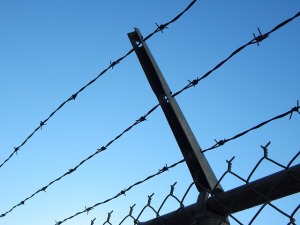 barbed-wire-482608_640(1)