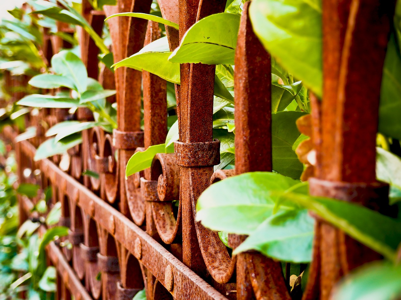 Der Charme von VintageGartenzäunen gartenzaunguenstig.de